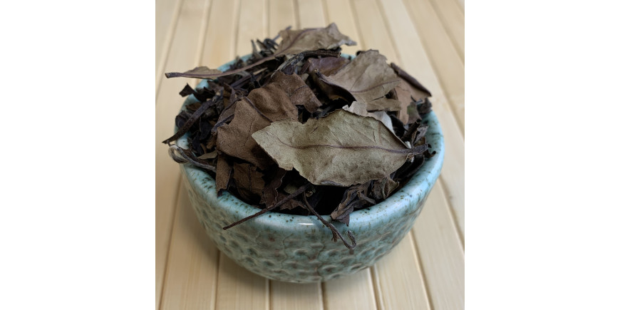 Из чего делают белый чай? 